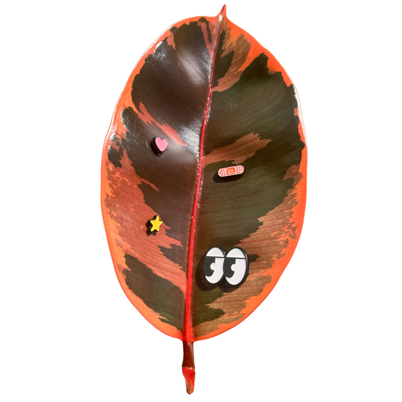A large leaf with a mini heart, star and bandage magnets attached to it. Larger cartoon eye magnet also attached.