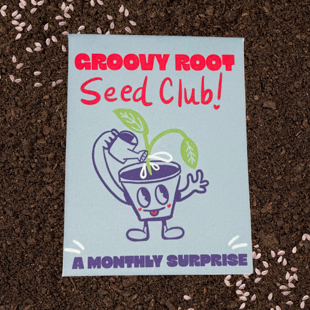 Monthly Seed Club!