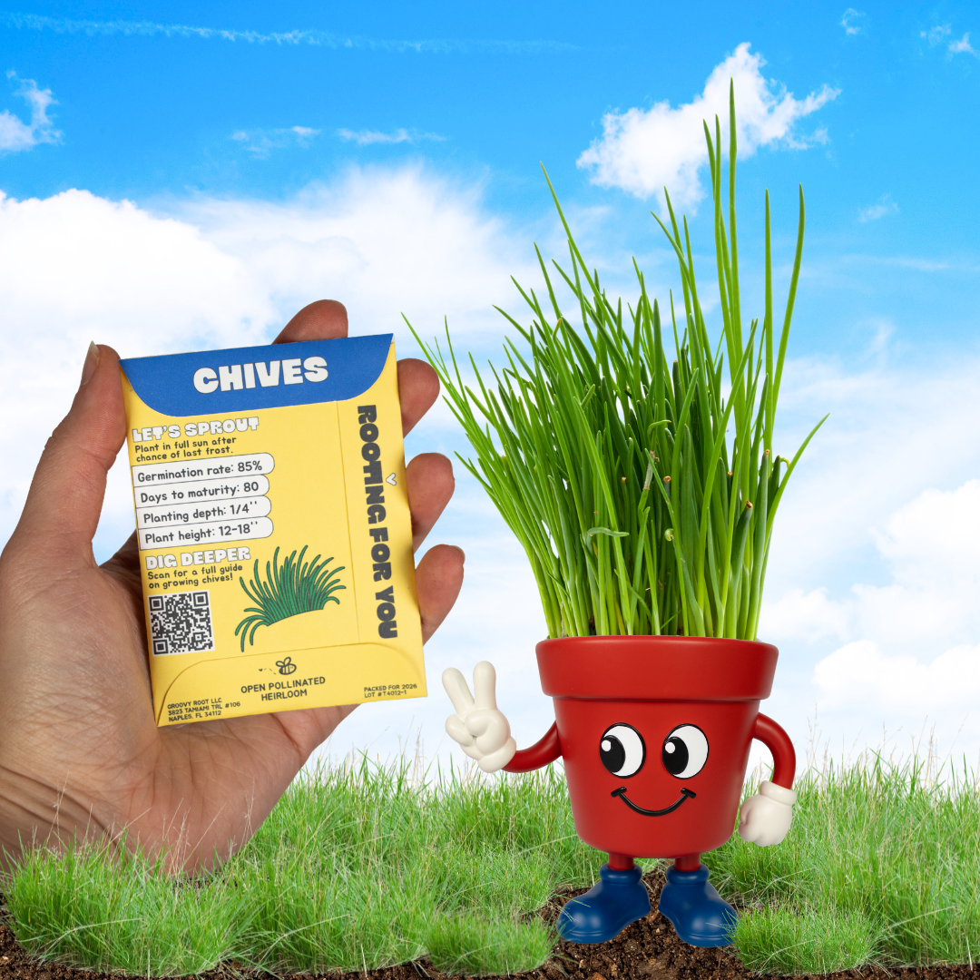 Chive Seeds (Heirloom)