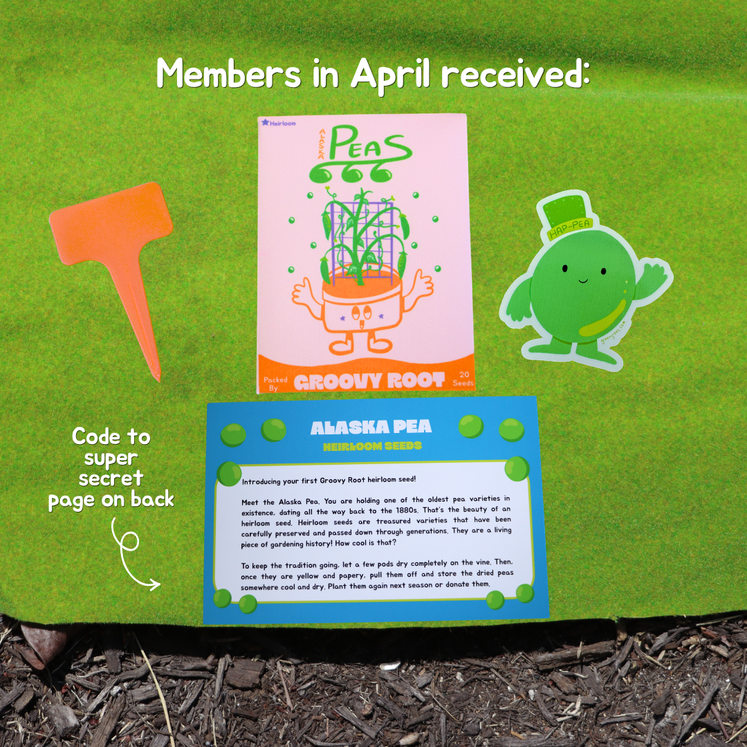 The Seed Club