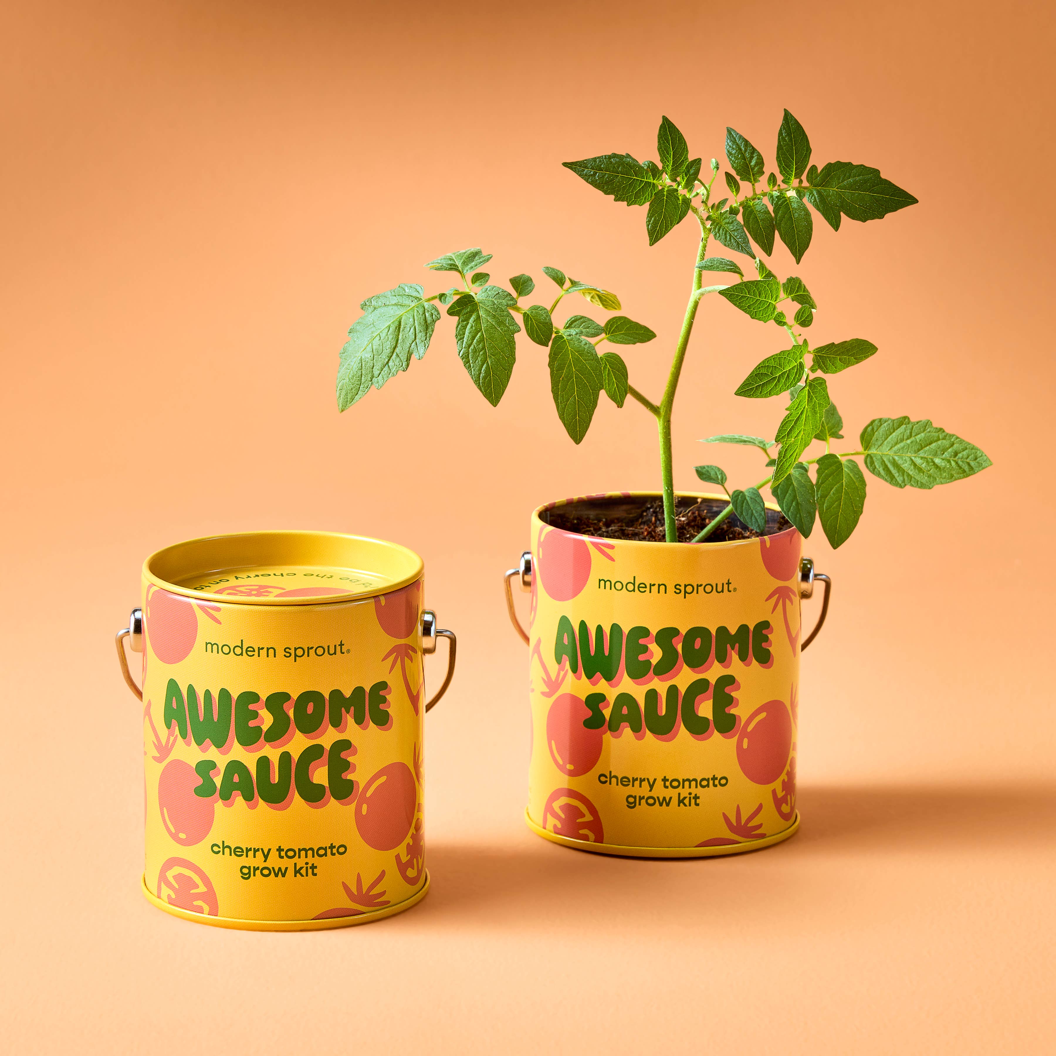 Groovy Grow Kits