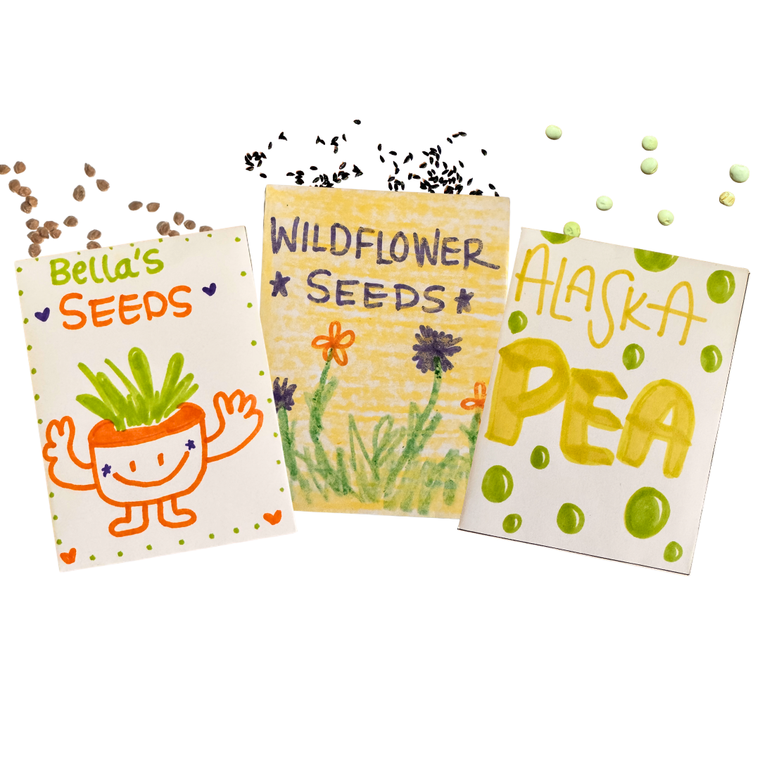 Three seed packets labeled 'Bella's Seeds', 'Wildflower Seeds', and 'Alaska Pea' on a white background.