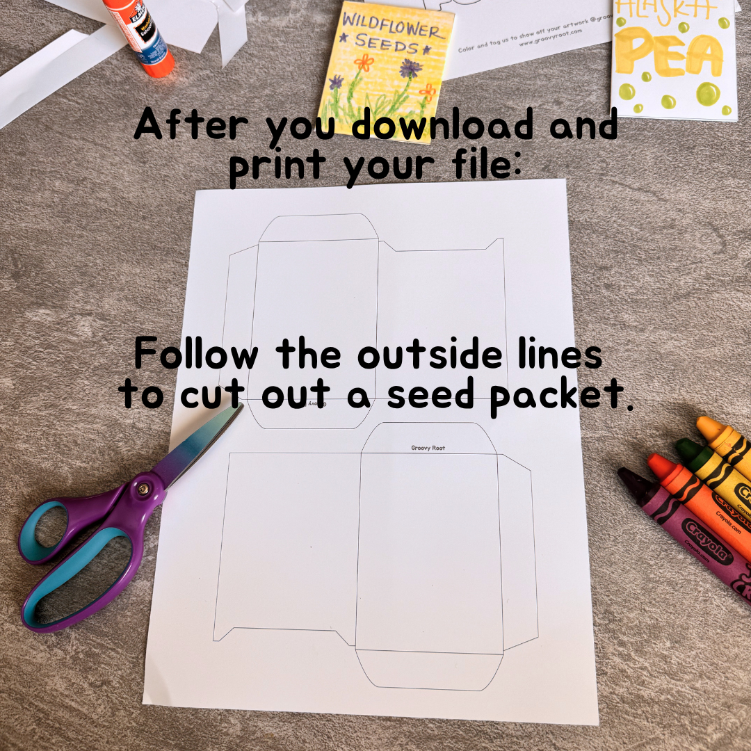 Seed packet template with scissors and crayons on a table
