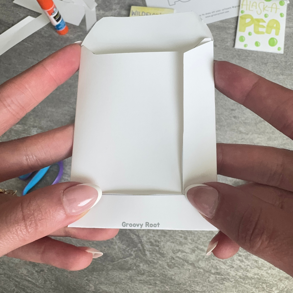 Blank seed packet with small words 'Groovy Root' held by hands on a gray surface with scattered items.