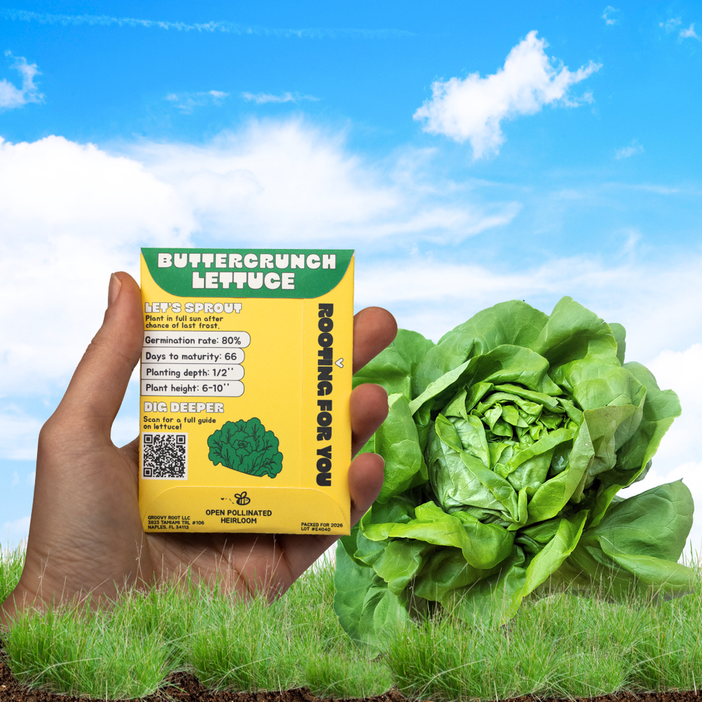 A hand holds a yellow box of Buttercrunch Lettuce starter sprout against a bright blue sky with clouds, with a fresh green lettuce head and grass in the foreground.
