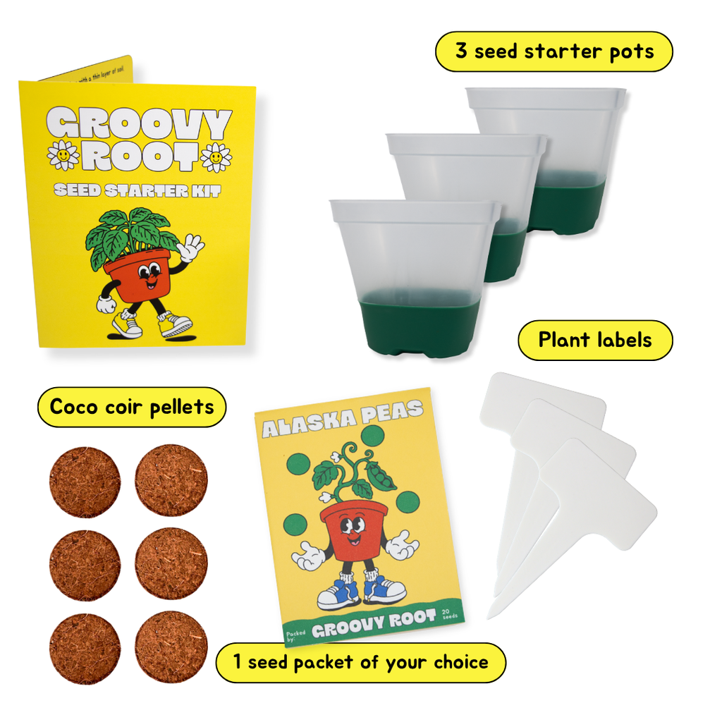 Groovy Root Seed Starter Kit components laid out on a white background, including a yellow instruction booklet, three translucent seed starter pots containing green medium, plastic plant labels, brown coco coir pellets, and seed packets. Yellow text labels identify each component.