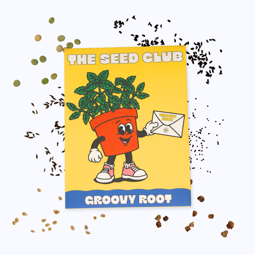 A square seed packet for 'Groovy Root' by 'The Seed Club' is displayed on a white background, surrounded by scattered seeds. The packet features a bright yellow background with a cartoon illustration of a smiling orange potted plant character holding a seed envelope.