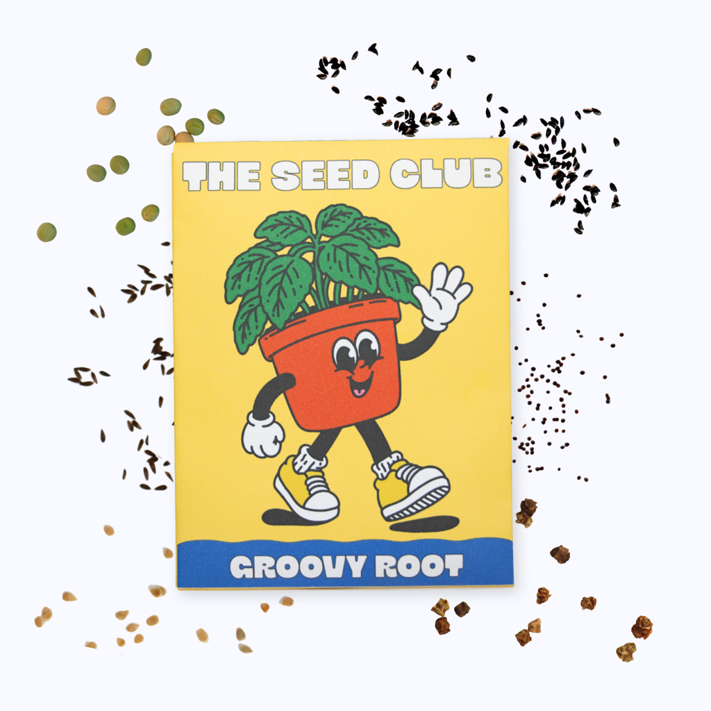 A square printed card or package featuring a cartoon potted plant with the text 'THE SEED CLUB' at the top and 'GROOVY ROOT' at the bottom, shown on a white background with scattered seed-like confetti around it.