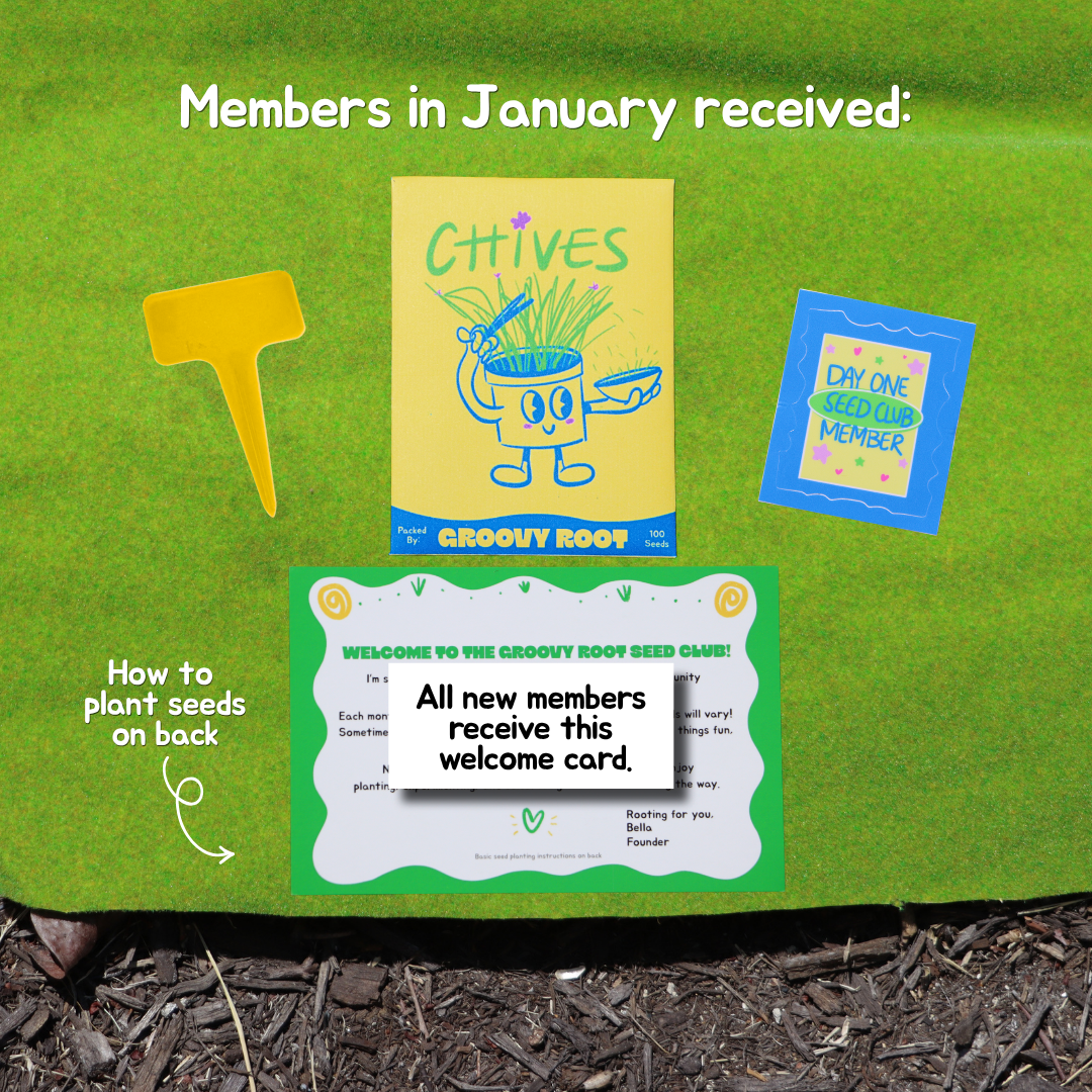 Groovy Root chive seedling kit with instructions on a green background