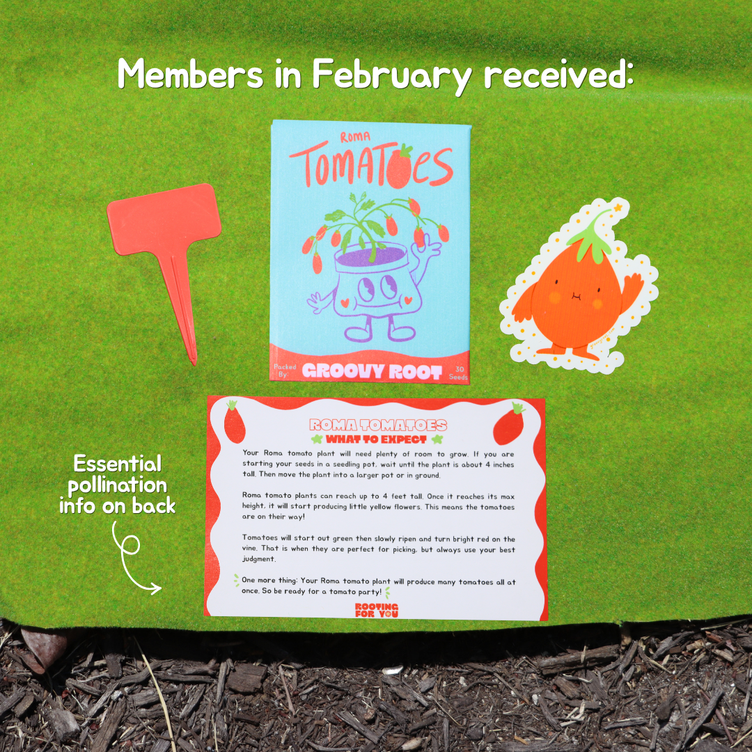 Gardening kit with tomato plant book, label, and stake on a green background