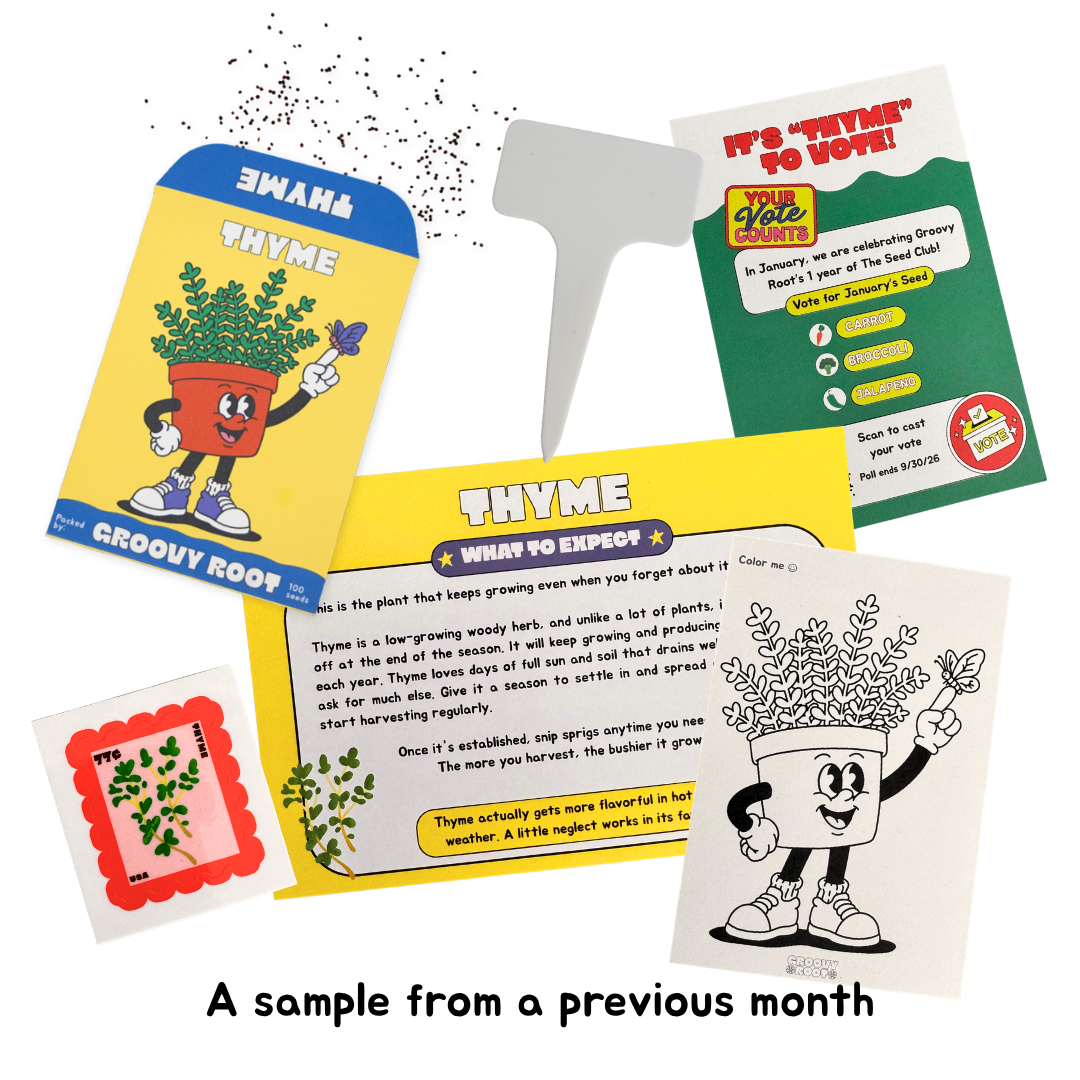 A set of gardening-themed printed cards and packets about thyme, shown on a white background with the text 'A sample from a previous month.' The cards include colorful illustrations, planting tips, growth stages, and a pot-with-plant cartoon drawing.