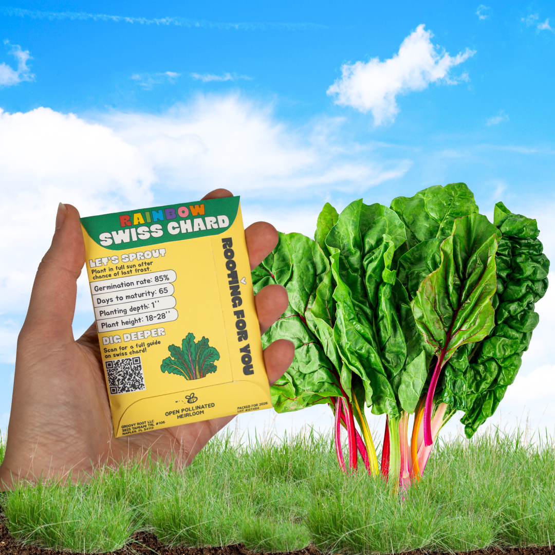 A hand holds a yellow and green packet of Rainbow Swiss Chard seeds next to several healthy green Swiss chard plants with pink-red stems growing in grass under a blue sky background.
