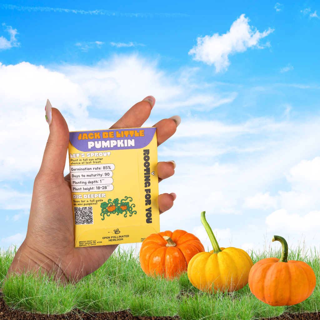 Jack Be Little Pumpkin Seeds - Heirloom