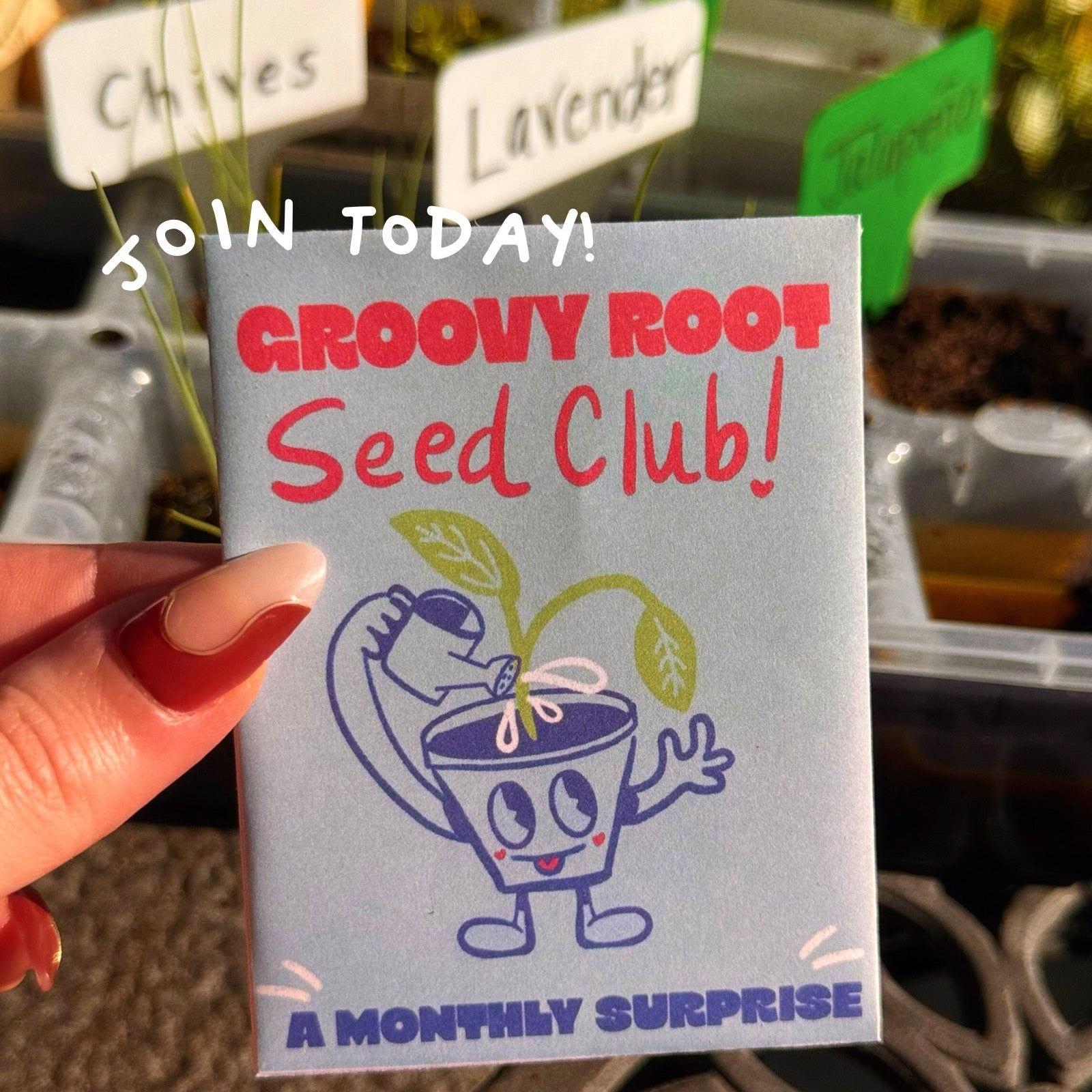 Groovy Root Seed Club promotional card held by a hand with plants in the background
