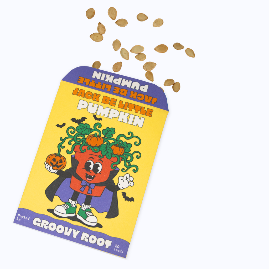 A novelty Halloween pumpkin seed packet labeled 'Groovy Root' with a cartoon character and scattered pumpkin seeds on a white background.