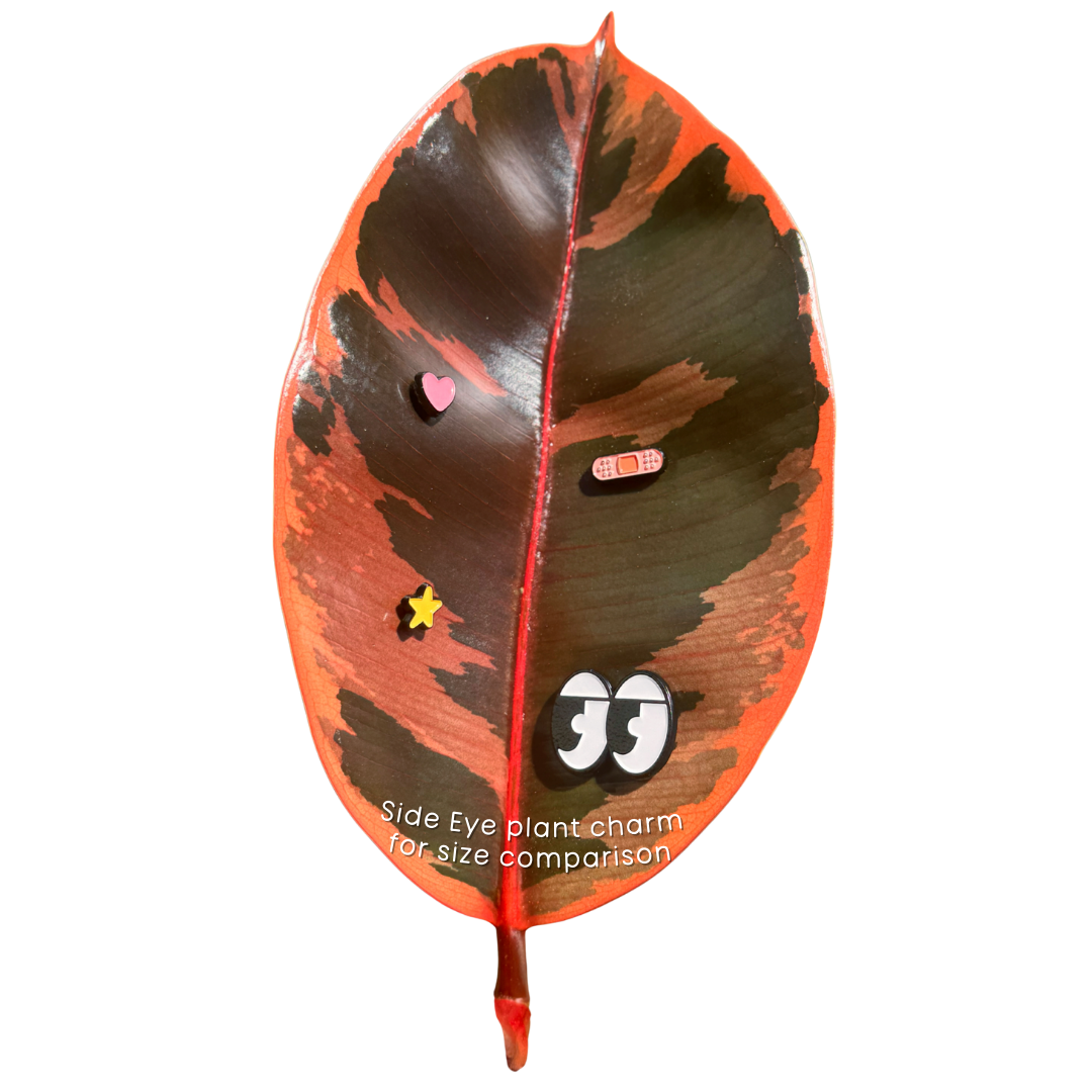 Mini Star (Magnetic Plant Charm)