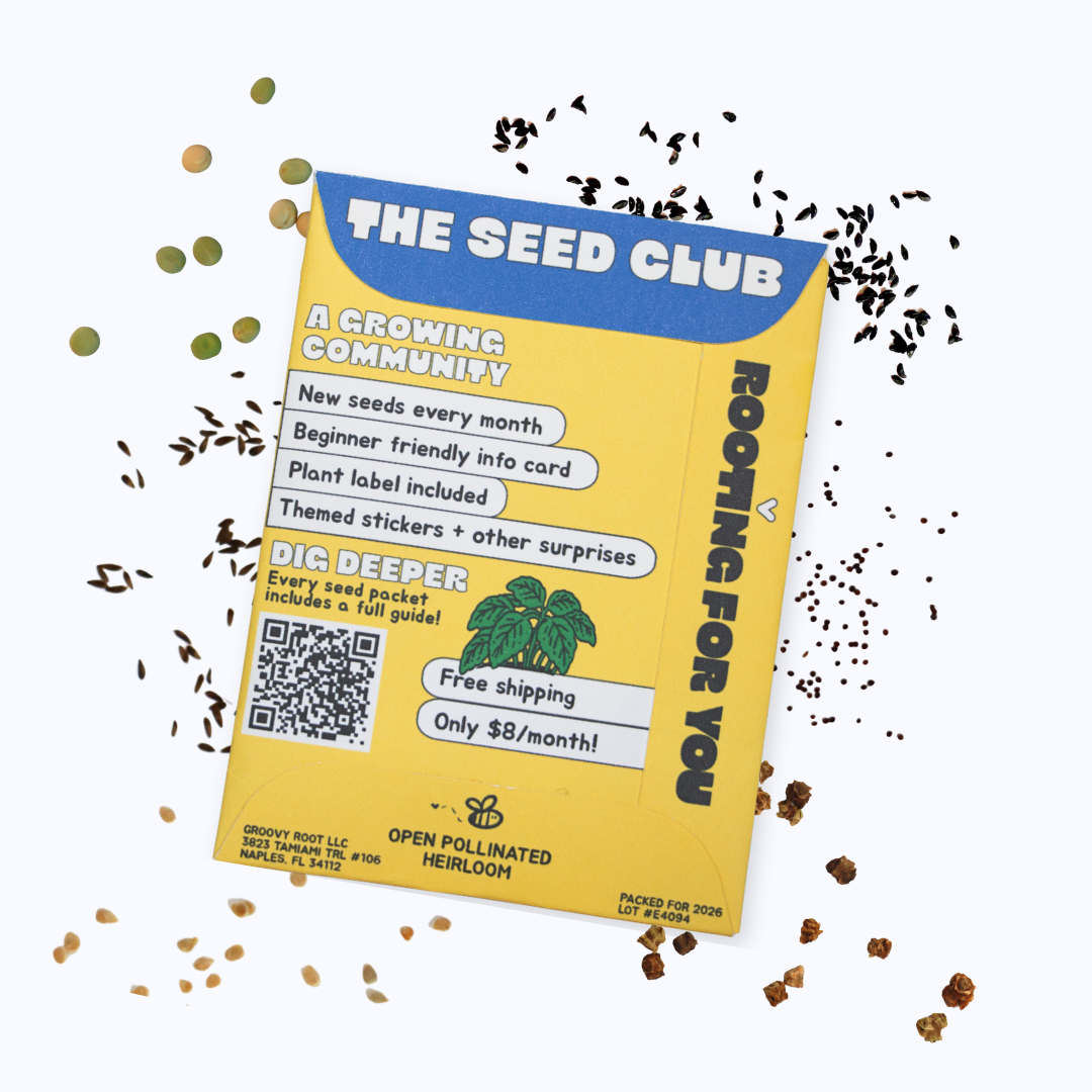 The Seed Club