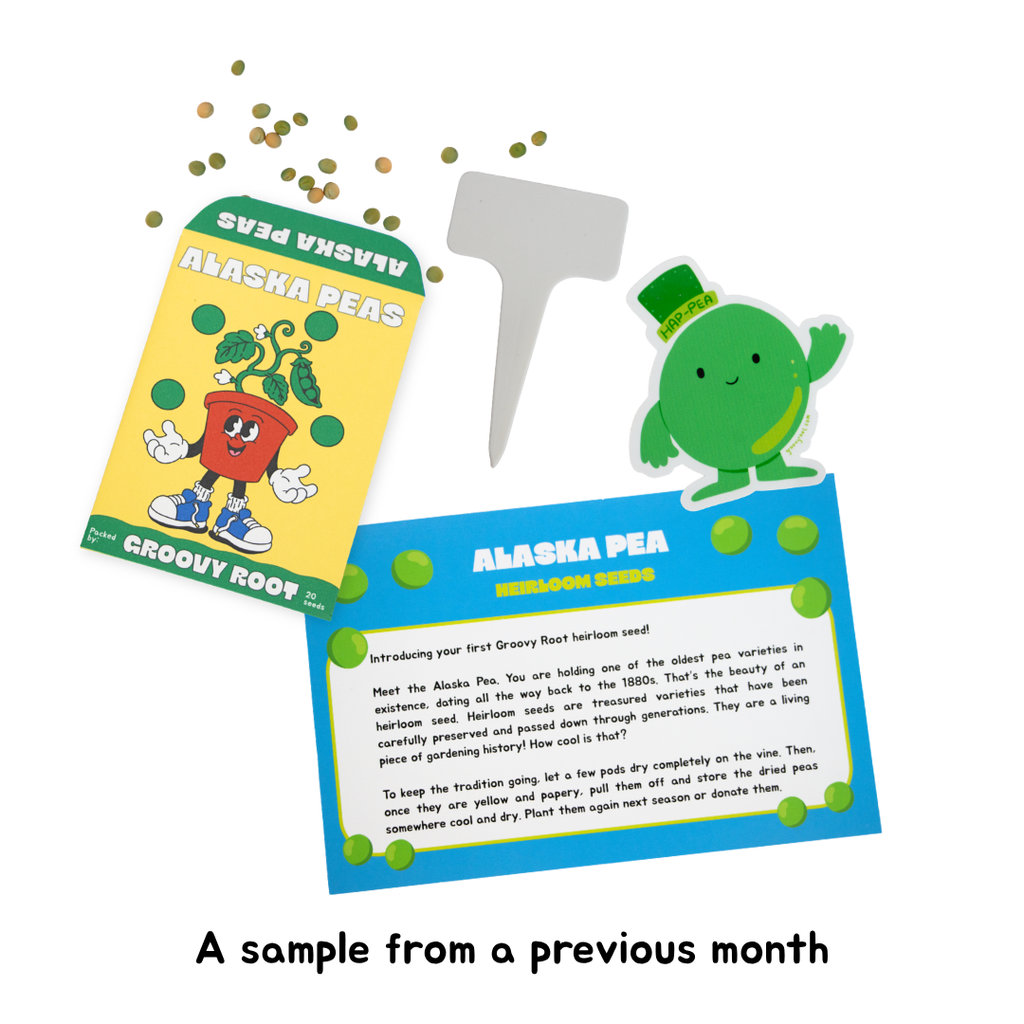 A gardening sample packet for Alaska Pea seedlings shown with a small hand fork and scattered gold-colored seeds on a white background. The packet features a yellow top half with a red cartoon pea character and a blue bottom half with green dots and seedling illustrations.