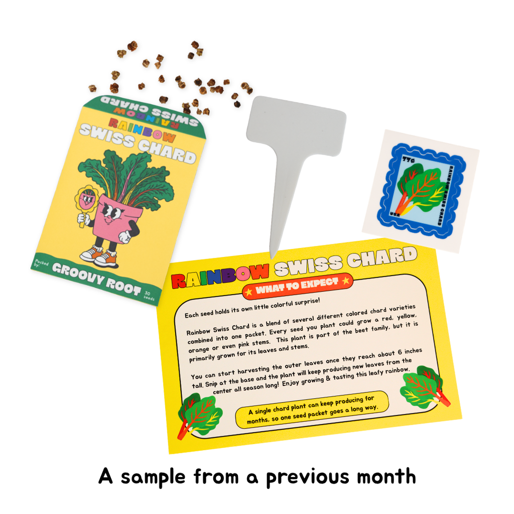 A seed-starting kit labeled 'Rainbow Swiss Chard' shown on a white background, including a yellow seed packet, a gray plastic tray, a sample leaf sticker, and loose seeds. The packet reads 'Groovy Root' and 'Swiss Chard.