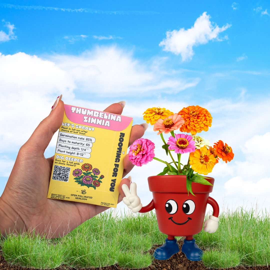 A hand holds a yellow and pink box of Thumbskinna Zinnia seeds next to a red cartoon potted flower with colorful blooming zinnia flowers, set against a grassy field and blue sky background.