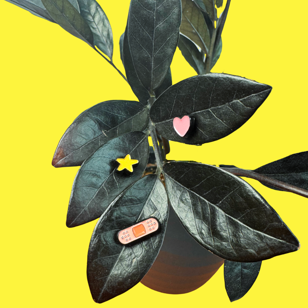 Mini Heart (Magnetic Plant Charm)