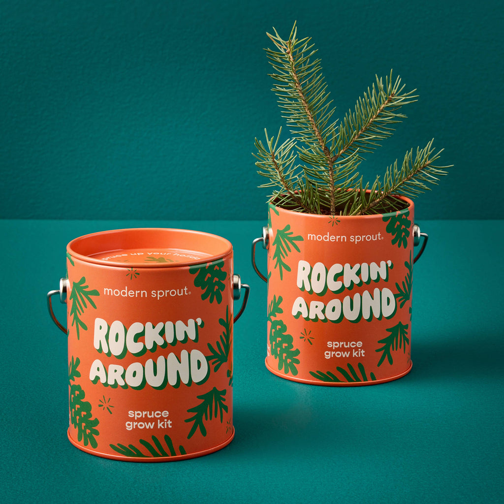 Rockin' Around Spruce Grow Kit