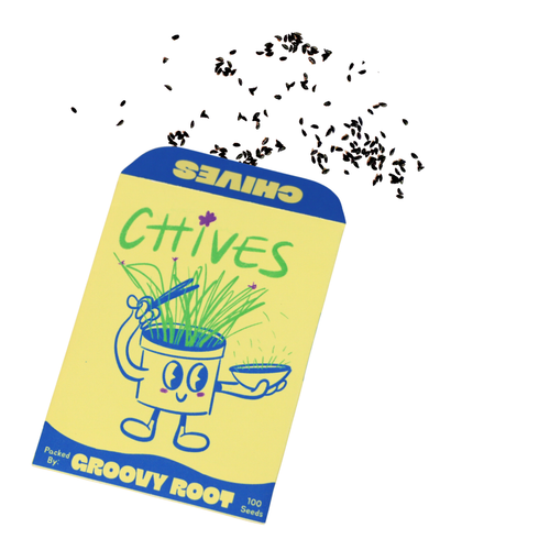 Seeds packet for chives with cartoon design on a white background
