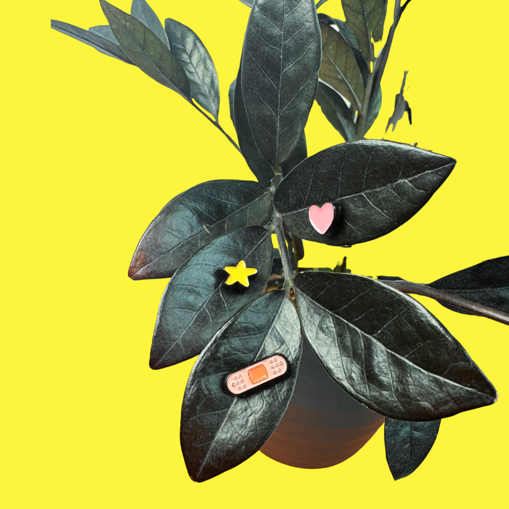 Plant with decorative items on leaves against a yellow background