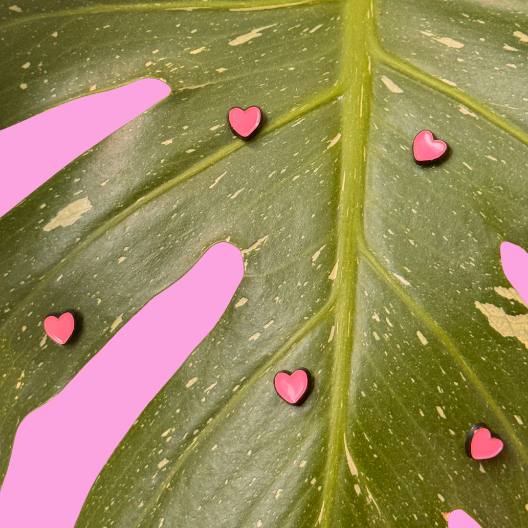 Mini Heart (Magnetic Plant Charm)