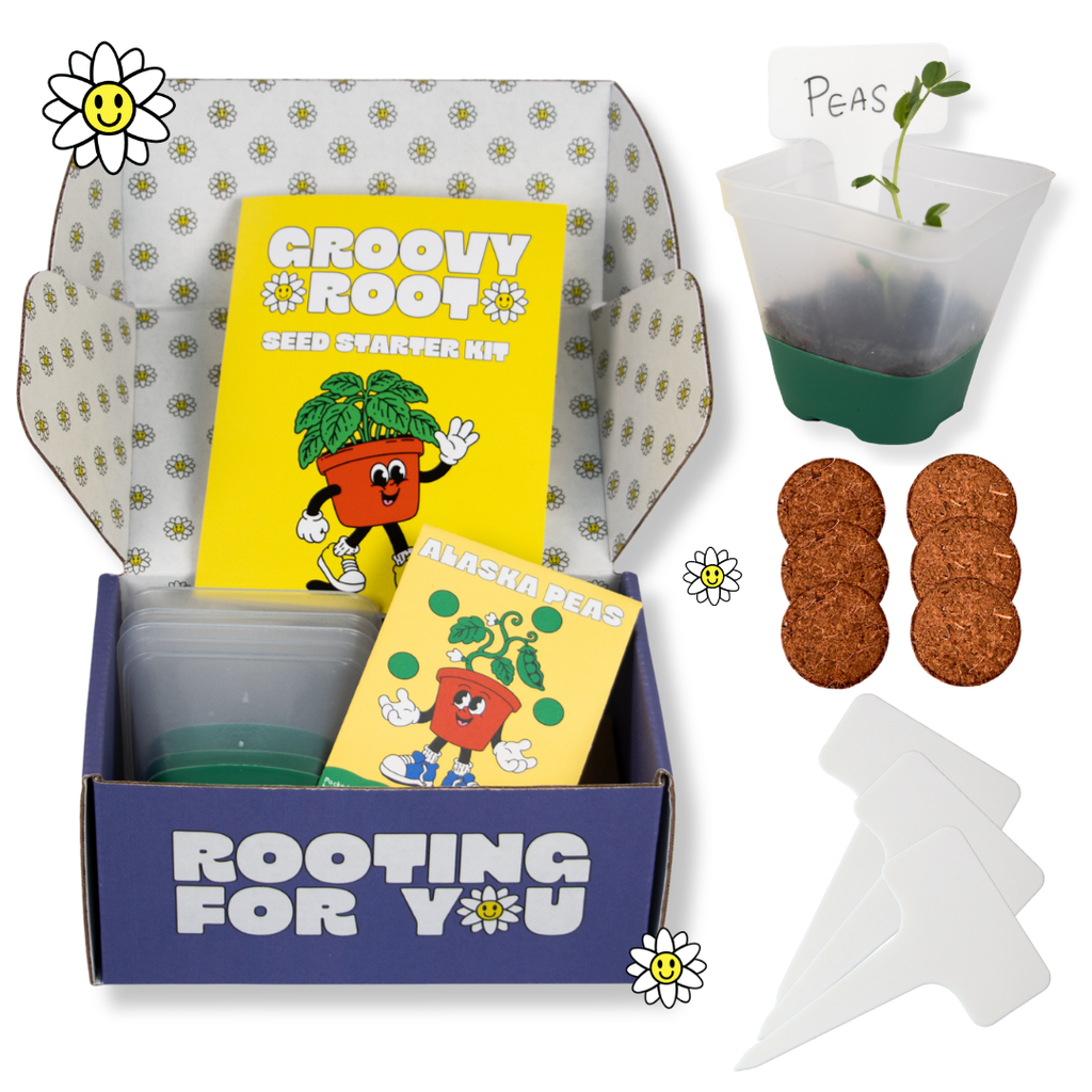 Groovy Root Seed Starter Kit shown open with its blue and yellow box, seed starter cards, clear plastic pots, soil, cork plugs, and white plant markers on a white background.