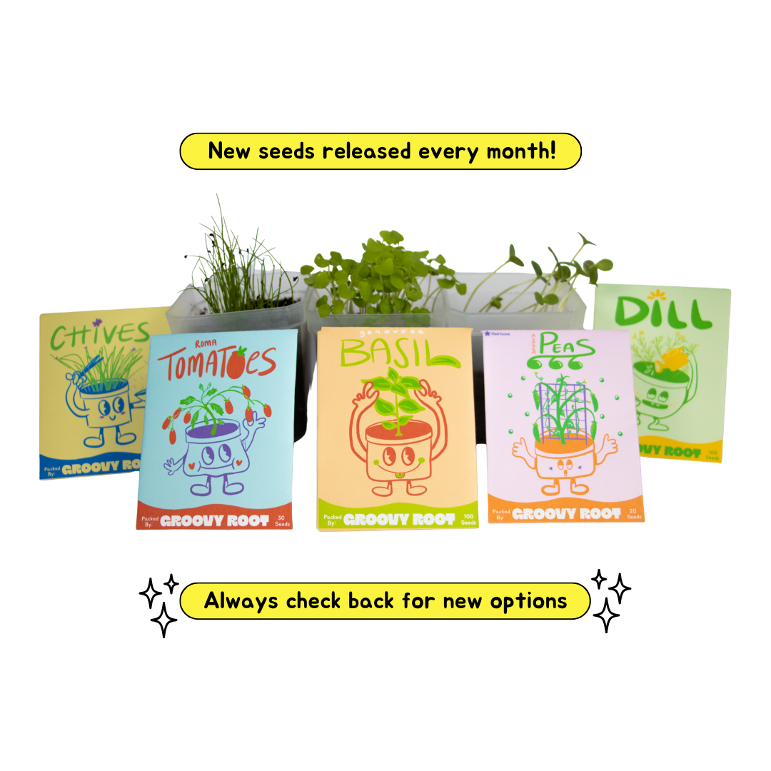 Set of seed packets for various herbs with a planter containing herbs on a white background.