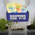 Box labeled 'Rooting For You' with seed packets featuring plant illustrations and names.