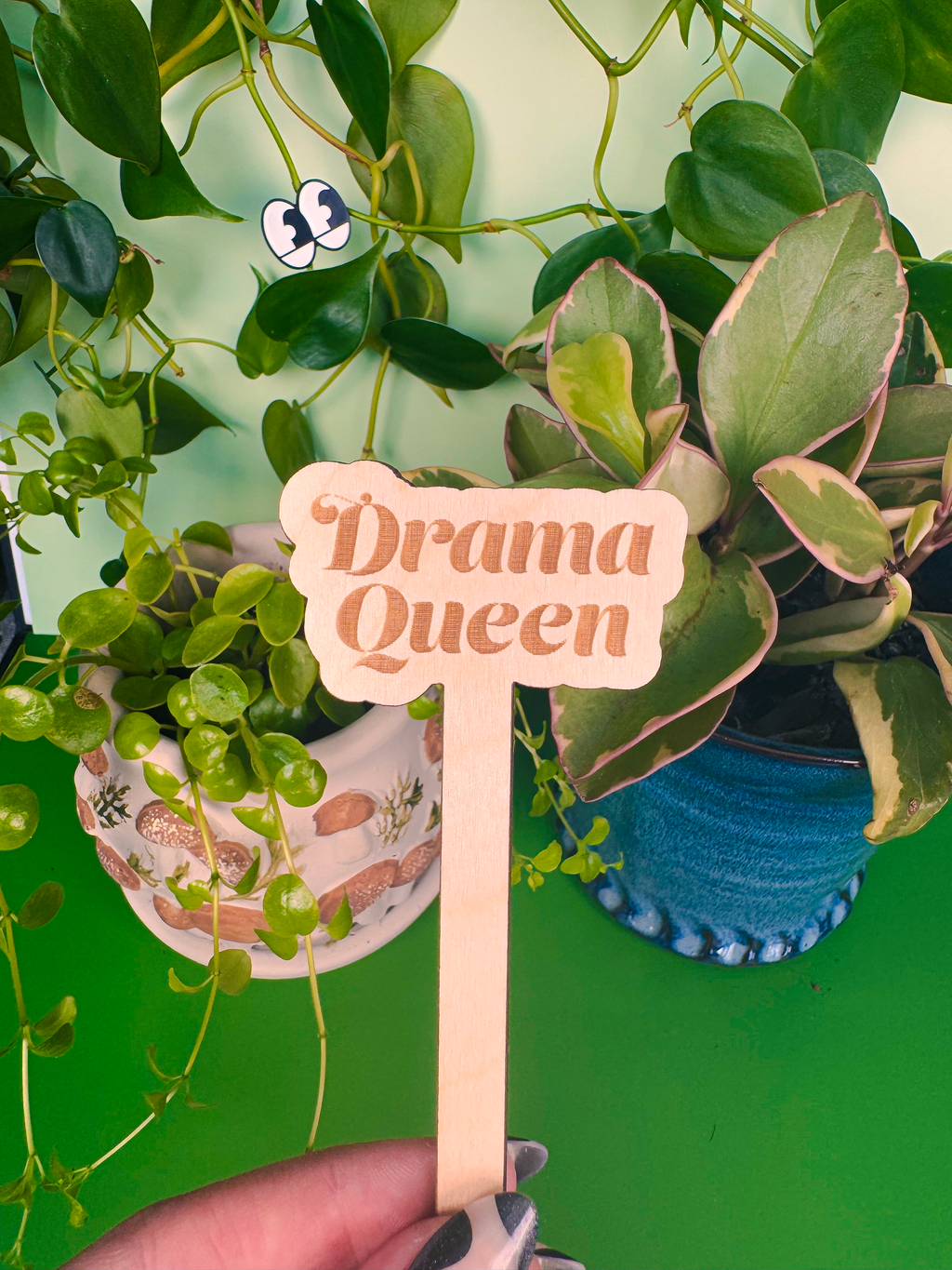 Hand holding a wooden sign with 'Drama Queen' text against a green plant background