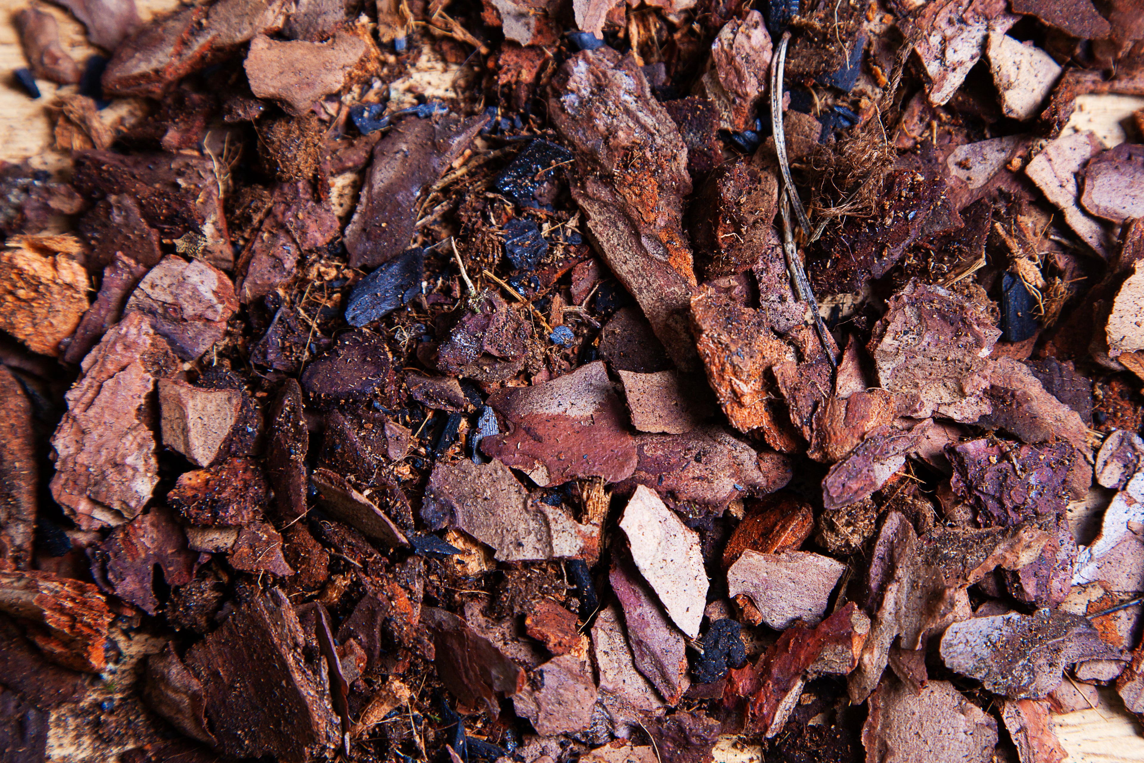 Close-up of a pile of brown and red organic material