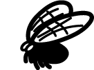 Black silhouette of a fly on a white background
