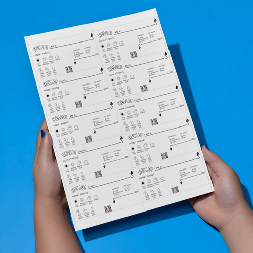 White business card with plant care options to fill in like sunlight, water and humidity needs. An option to select for pet safety and a small corner to write in notes.