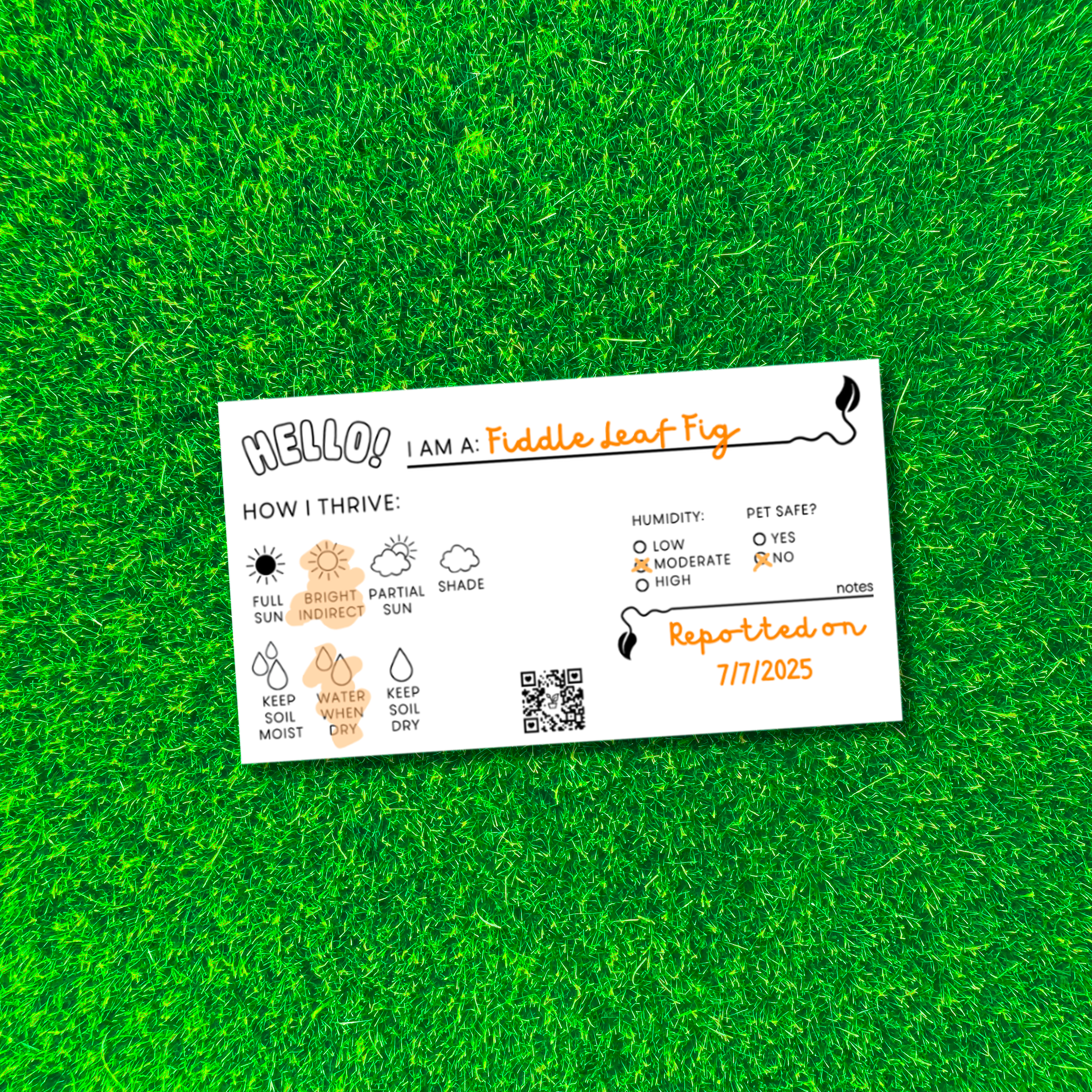 Plant Care Cards (Digital Download)