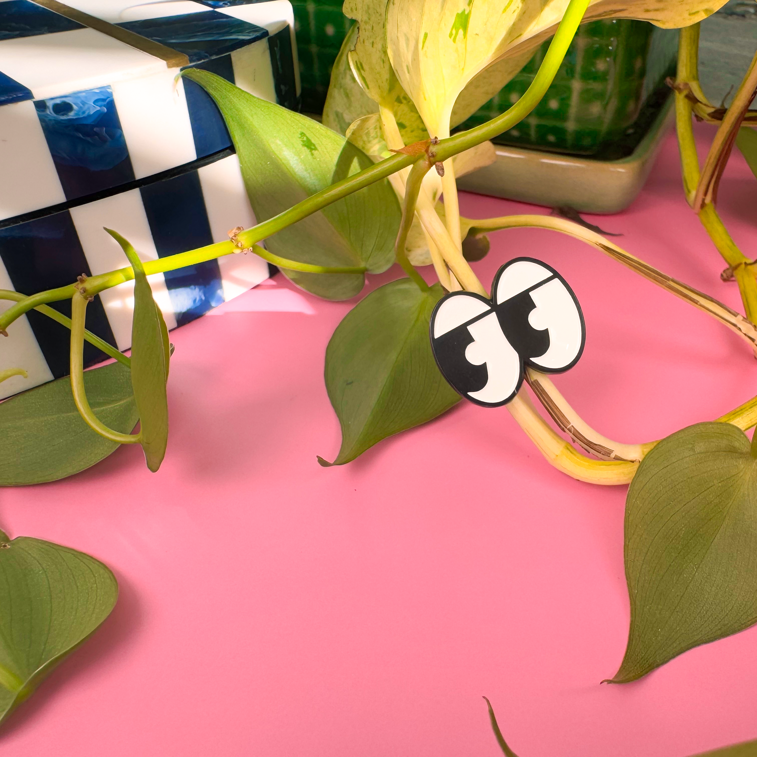 Green plant with cartoonish eyes on a pink surface
