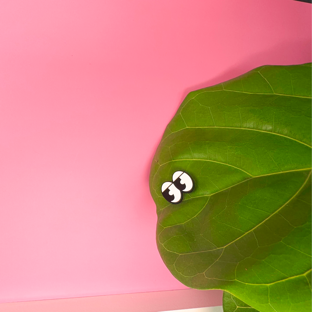 Green leaf with a small white object on a pink background