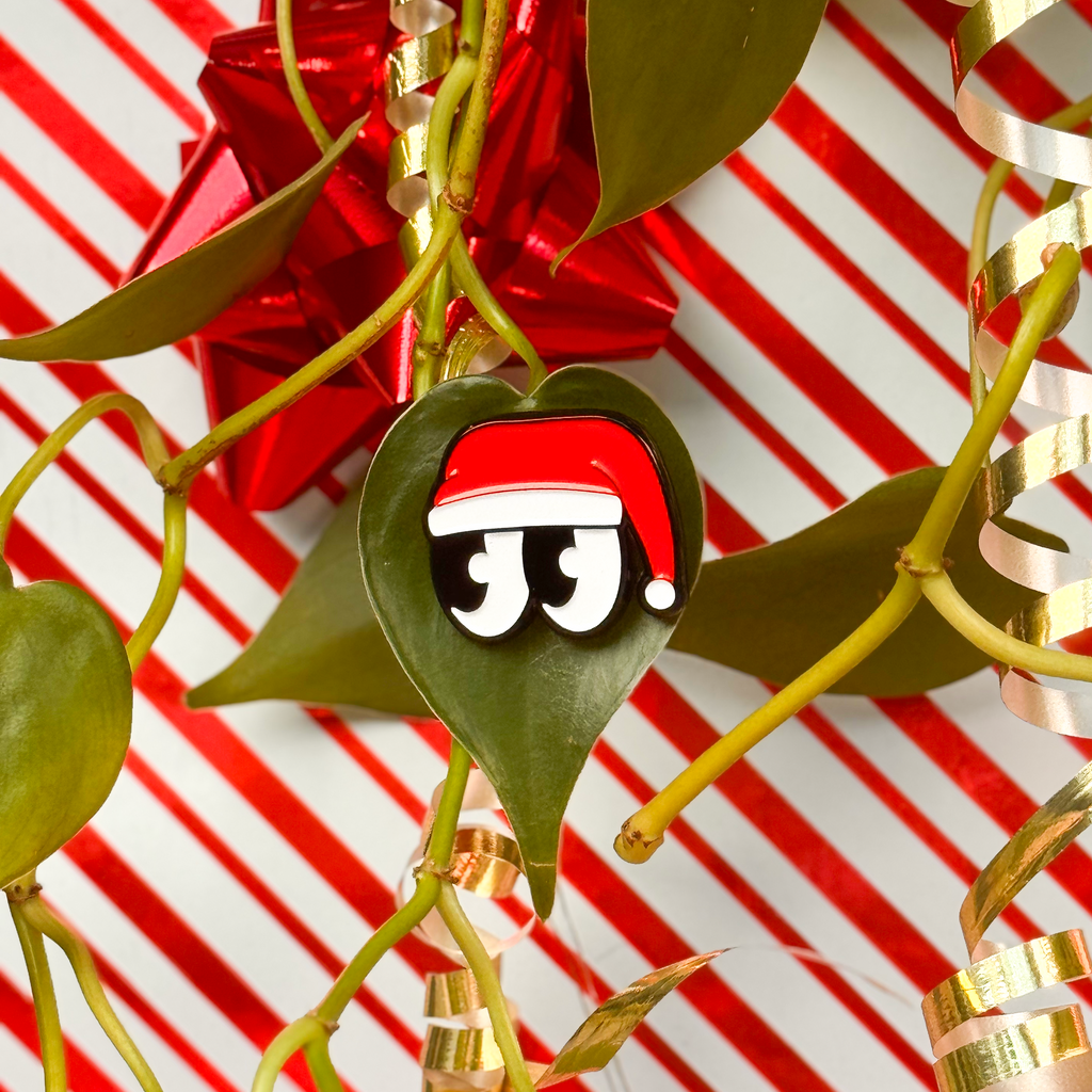 Decorative mistletoe with cartoon eyes wearing a santa hat magnetized to a plant leaf. 