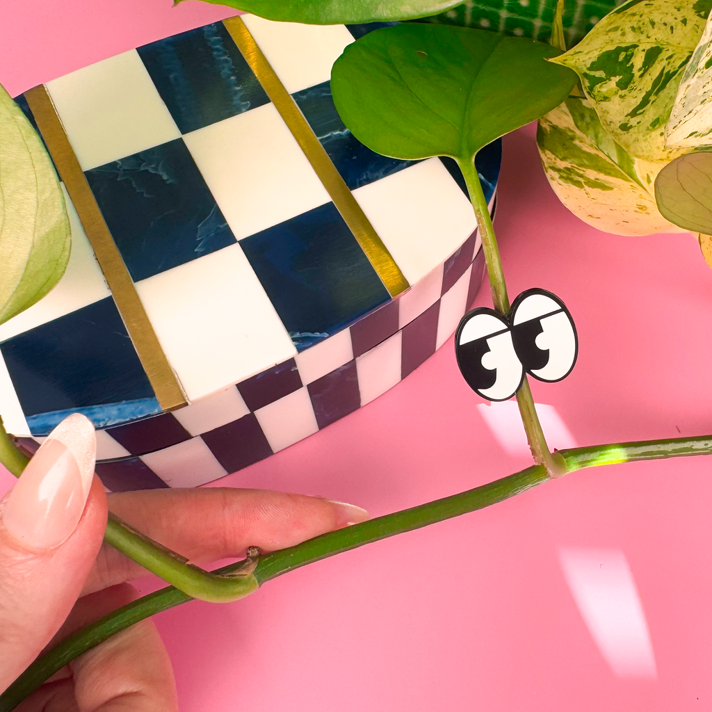 Hand holding a leaf with googly eyes attached, against a pink background with a checkered box.