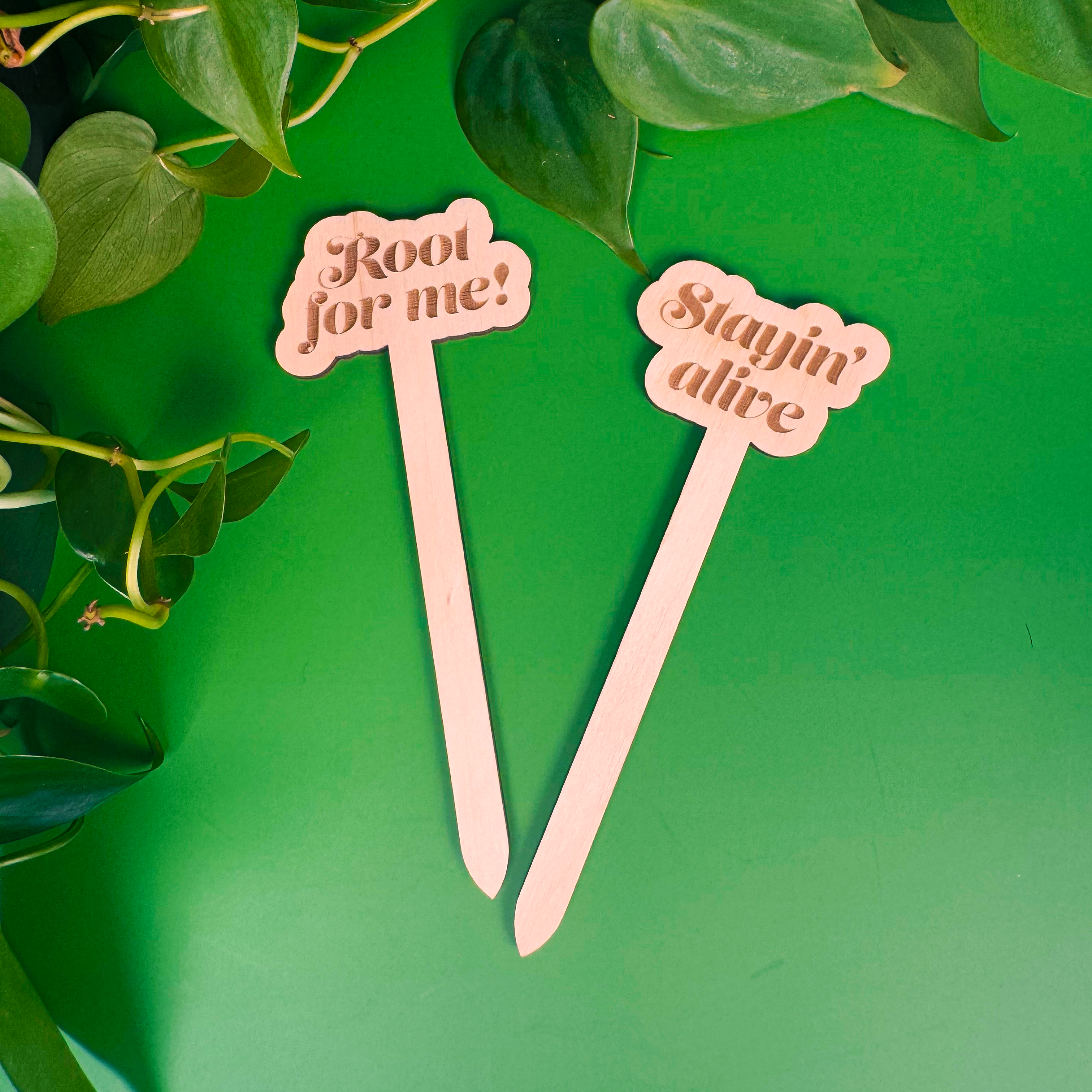 Two wooden sticks with text on a green background with leaves