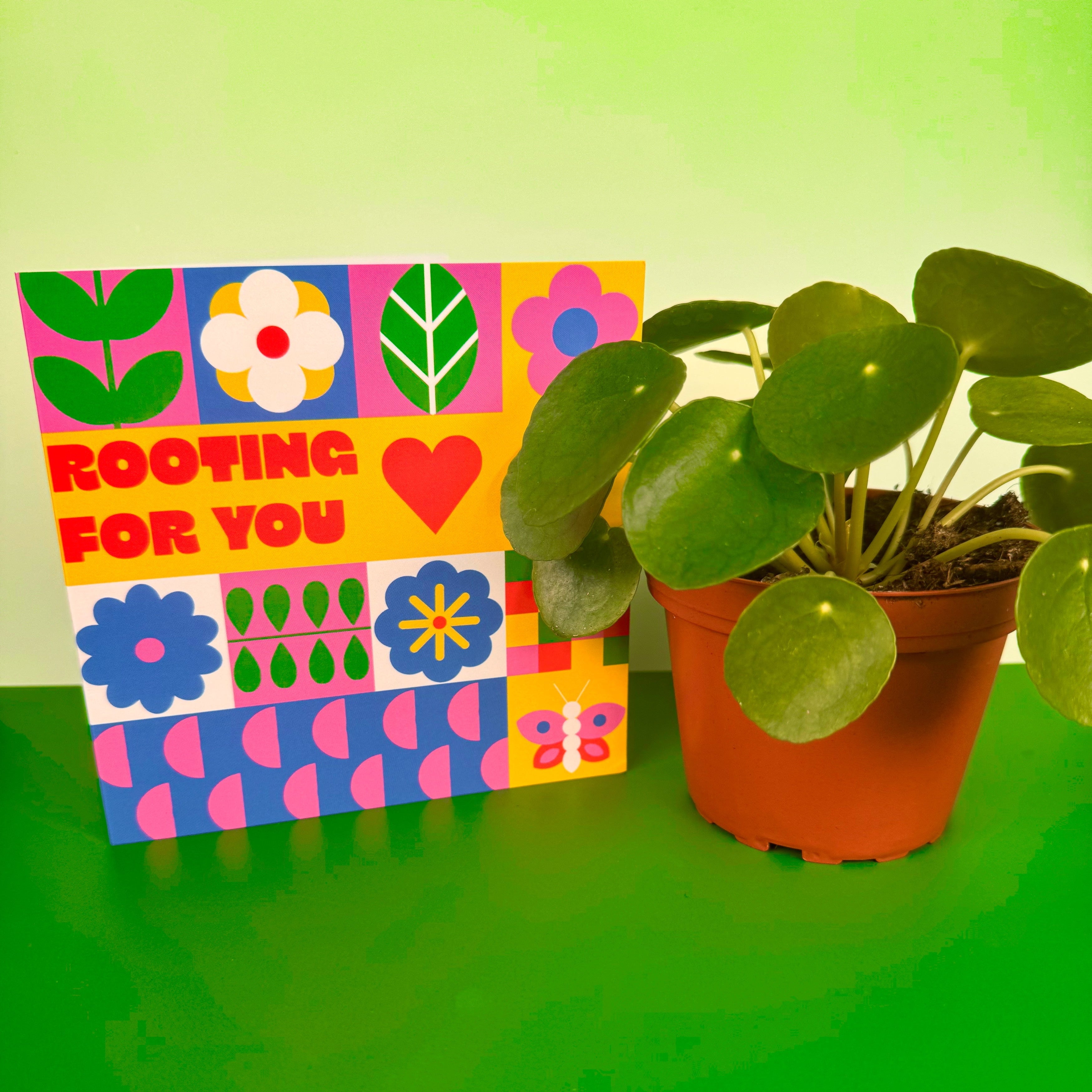 Colorful card with floral patterns and text 'Rooting for you' next to a potted plant on a green background