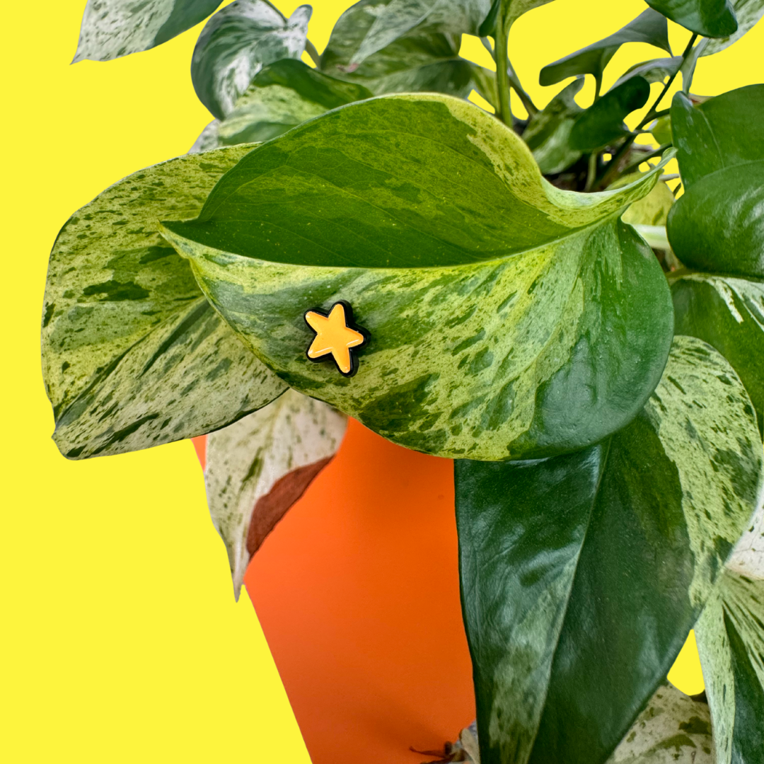 Mini Star (Magnetic Plant Charm)