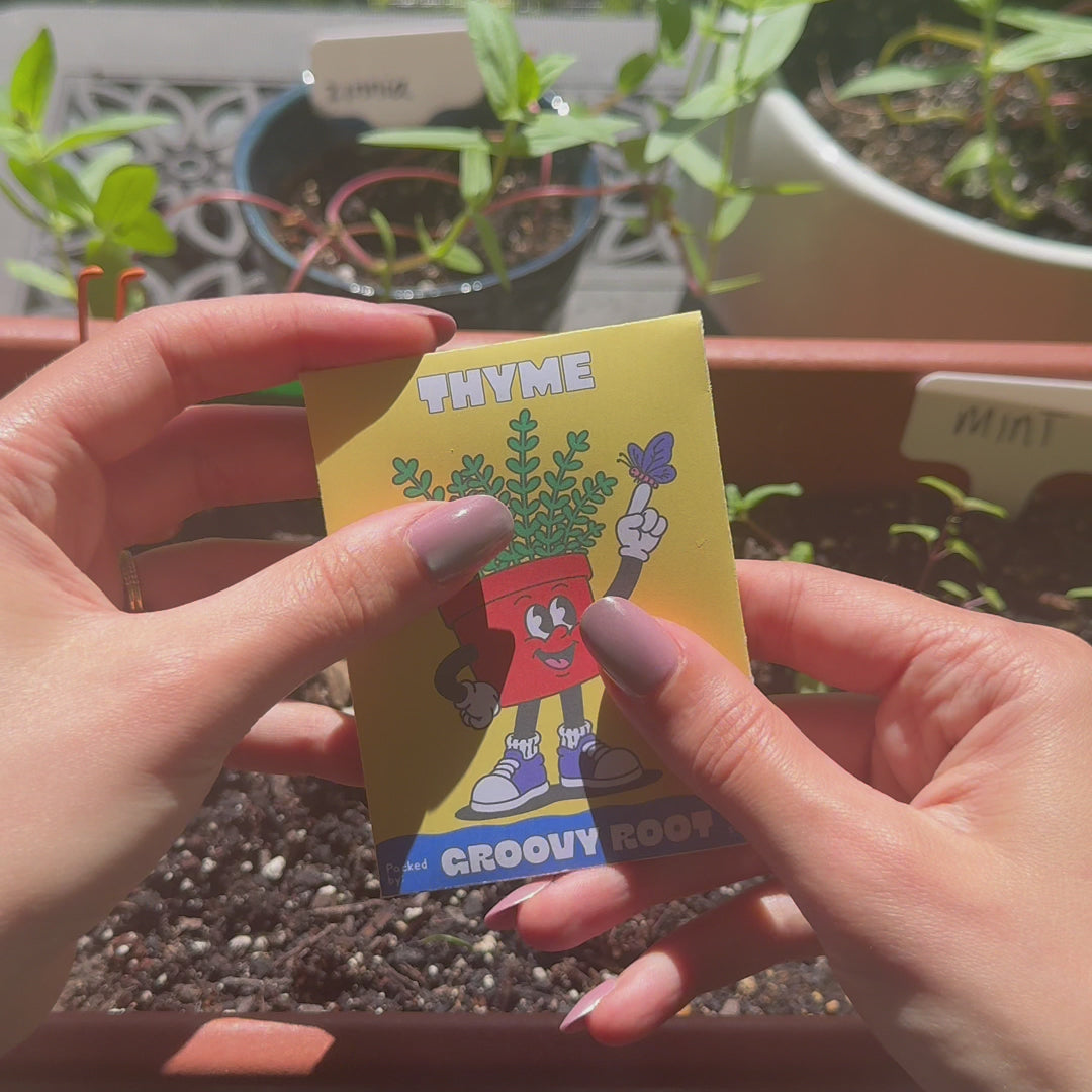 Thyme Seeds - Heirloom