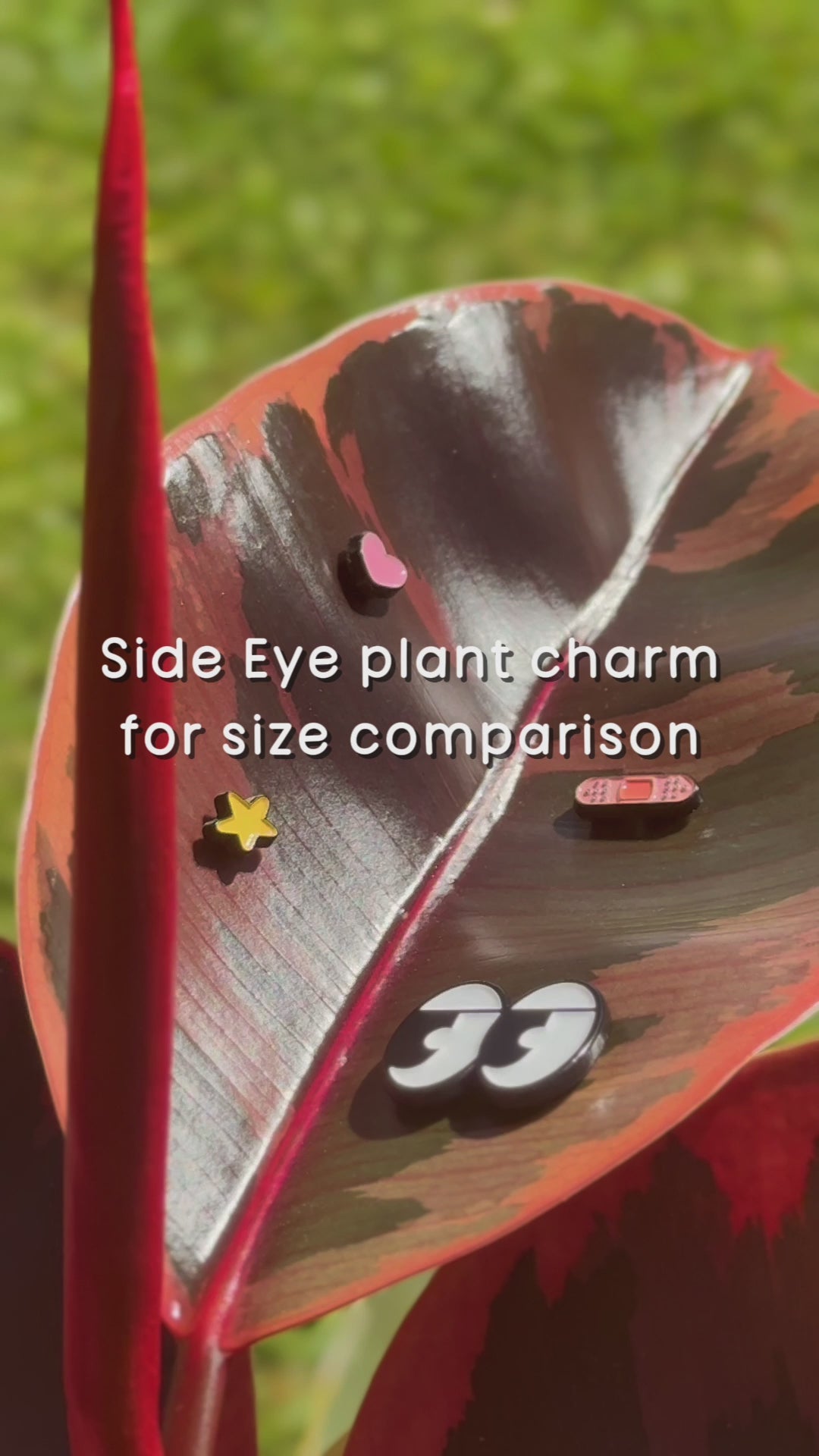 Mini Star (Magnetic Plant Charm)