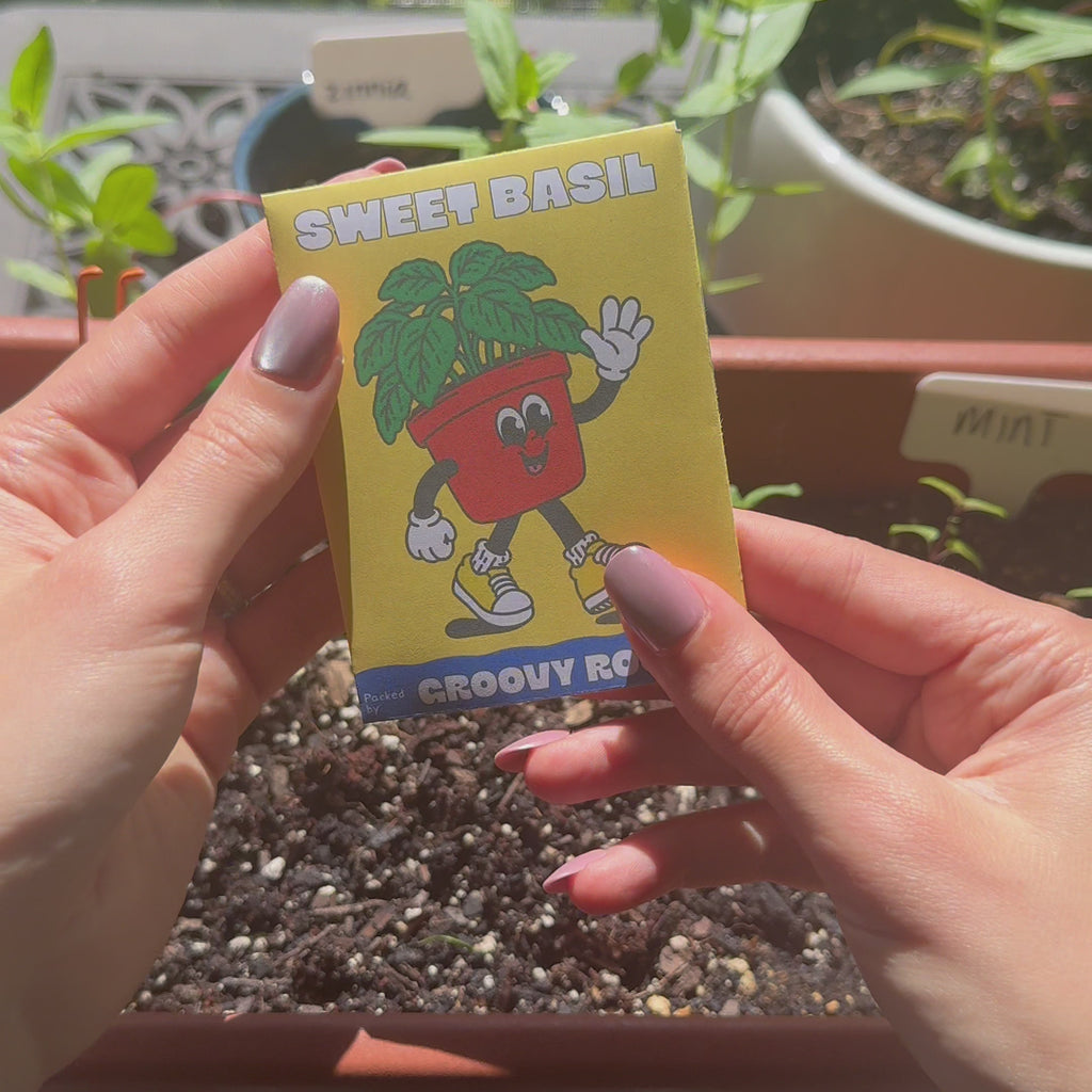 Sweet Basil Seeds - Heirloom