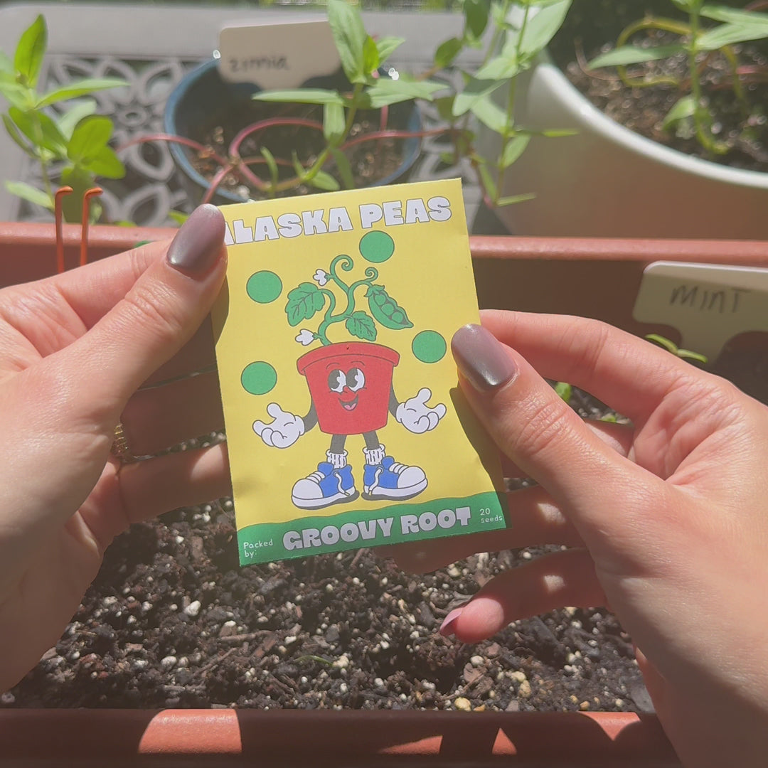 Alaska Pea Seeds - Heirloom
