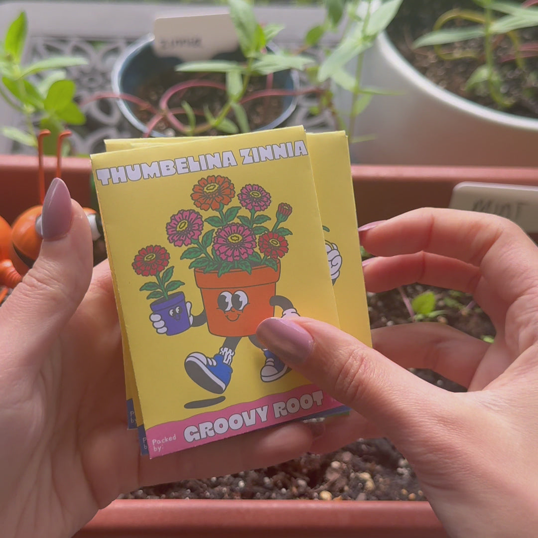 The Seed Club