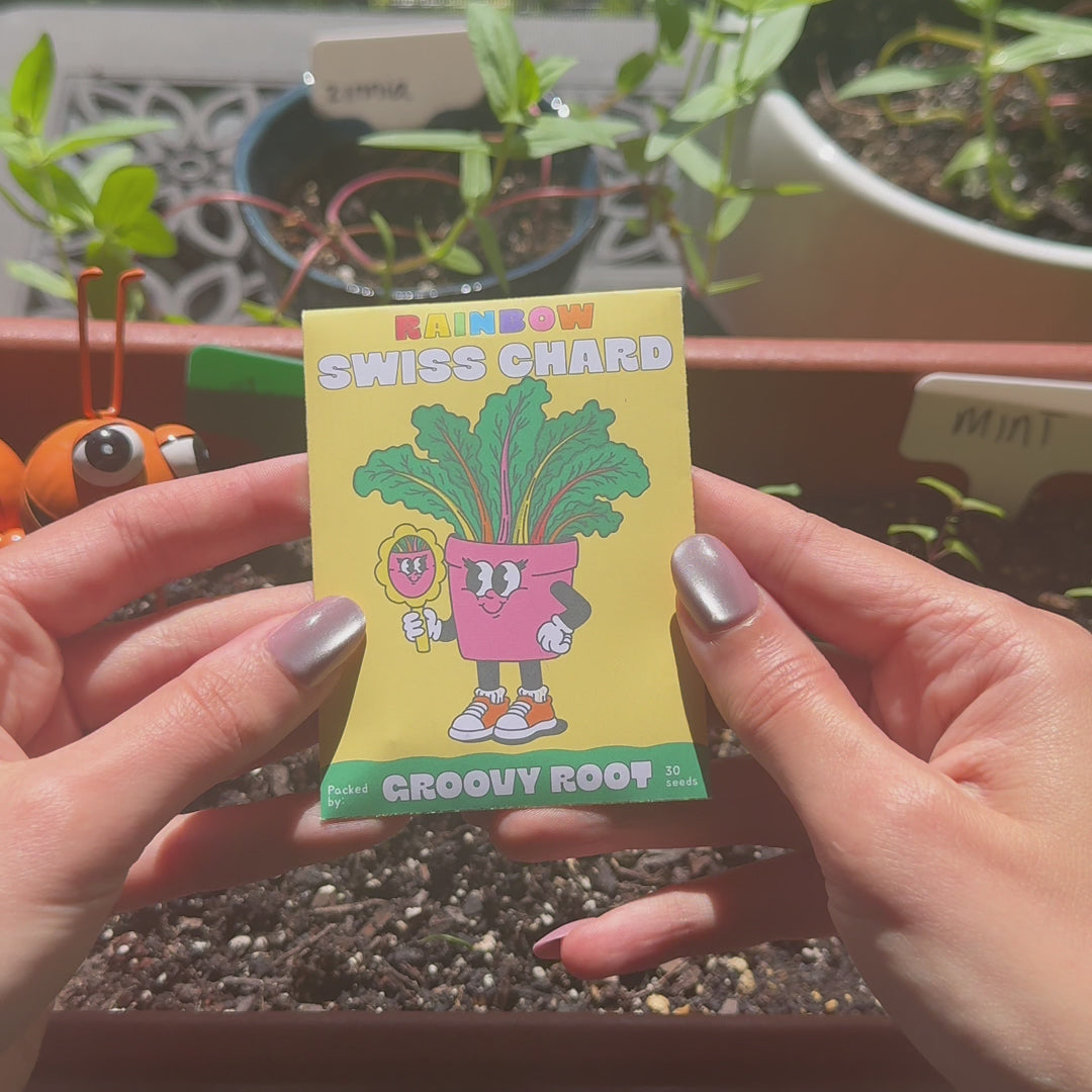 Rainbow Swiss Chard Seeds - Heirloom